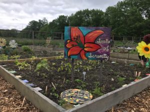 Serenity Garden - New Directions