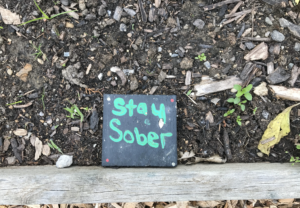 New Directions garden