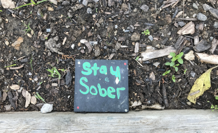 New Directions garden