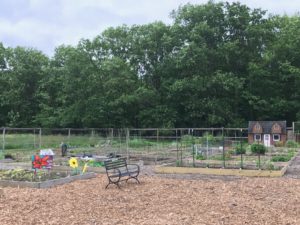 New Directions Resident