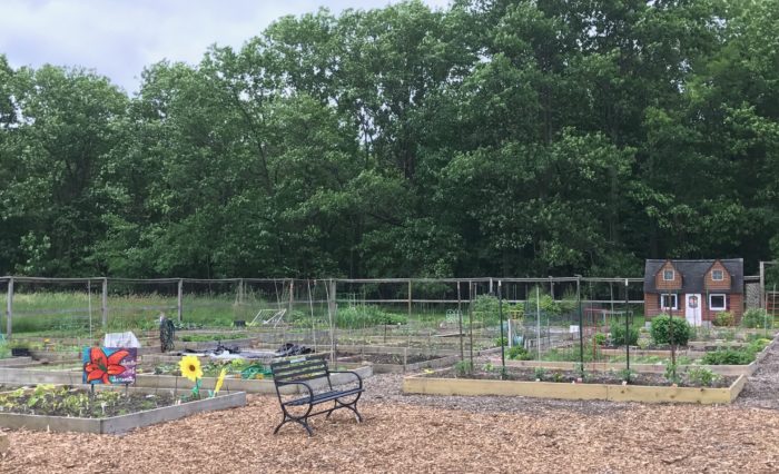 New Directions Resident